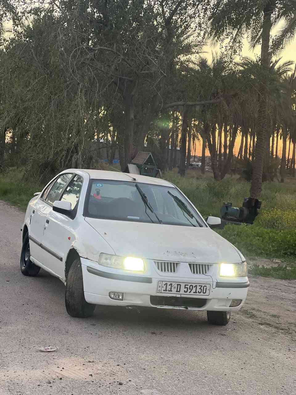 سمند البيع أو مراوس ***********
