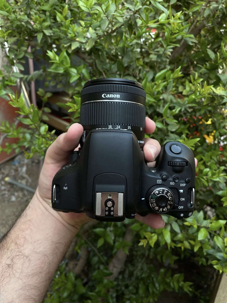 للبيع كامرا كانون 800D الحديثة شاشة لمس قلاب واي فاي +بلوتوث نضافه 100% كارتونه
دقه وسلاسه وسرعه✨
ملحقات 
عدسة 18-55 استبلايزر مانع اهتزاز الحديثه
شاحنة 
بطاريه 
حزام 
كارتونه
السعر 600 الف وبي مجال 
مكان بغداد البنوك 
لايوجد توصيل


**إذا كنت صاحب هذا الإعلان وتريد حذفه لأي سبب، رجاءا أرسل رسالة إلى الدعم الفني**