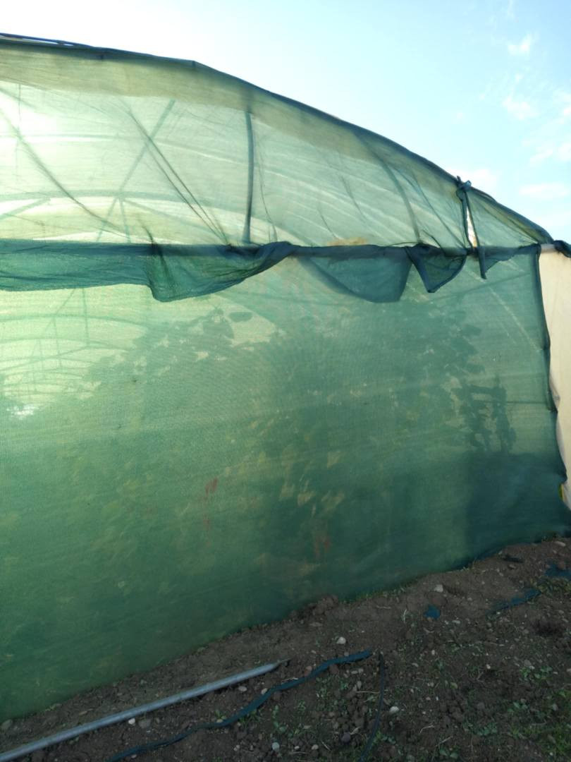 سێ کۆخی دەرە جە یێک بۆ فرۆشتن
2ملیم 
لایلۆن نوێ
سۆندە نوێ
کولە نوێ 
شوێن دەوروبەری ئاکرێ
ژماری موبایل*********** دهوك, العراق
