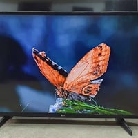 LG • ٤٣ بوصة • ستلايت