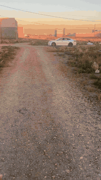 السلام عليكم عقار للبيع رقمه 
١٢٠٣٣
٢/١٠
مساحه ١٢٥ متر مربع ذهبي جاهز من صاحب سند مباشر بسعر جد مناسب بسعر ٩٠ 🌴🌴🌴🌴🌴🌴شراي يتصل وبخدمته 
***********
***********
