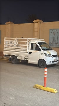 شيري بيك • ٢٠١٣ • الرمادي