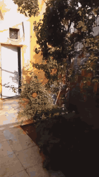 اسلام عليكم ورحمة الله وبركاته بيت للبيع بحي الأمن الداخلي قرب مدرست السلامه البيت يحتوي على طابق ونص وعلى2 غرف  وستقبال و صاله وه طارمه وه صحيات  + بي حديقه صغيره مساحت البيت  80متر واجهيه 5 نزال 16 ولبيت أنته أذا اتريد راحه أشتري وذا أتريد منضر او جمال بقت يمك وسعر 60 اذا اتريد اتصل عله أرقم واتساب فقط ارقم، *********** وذا أتريد راسلني خاص وبيك خير وتدلل
