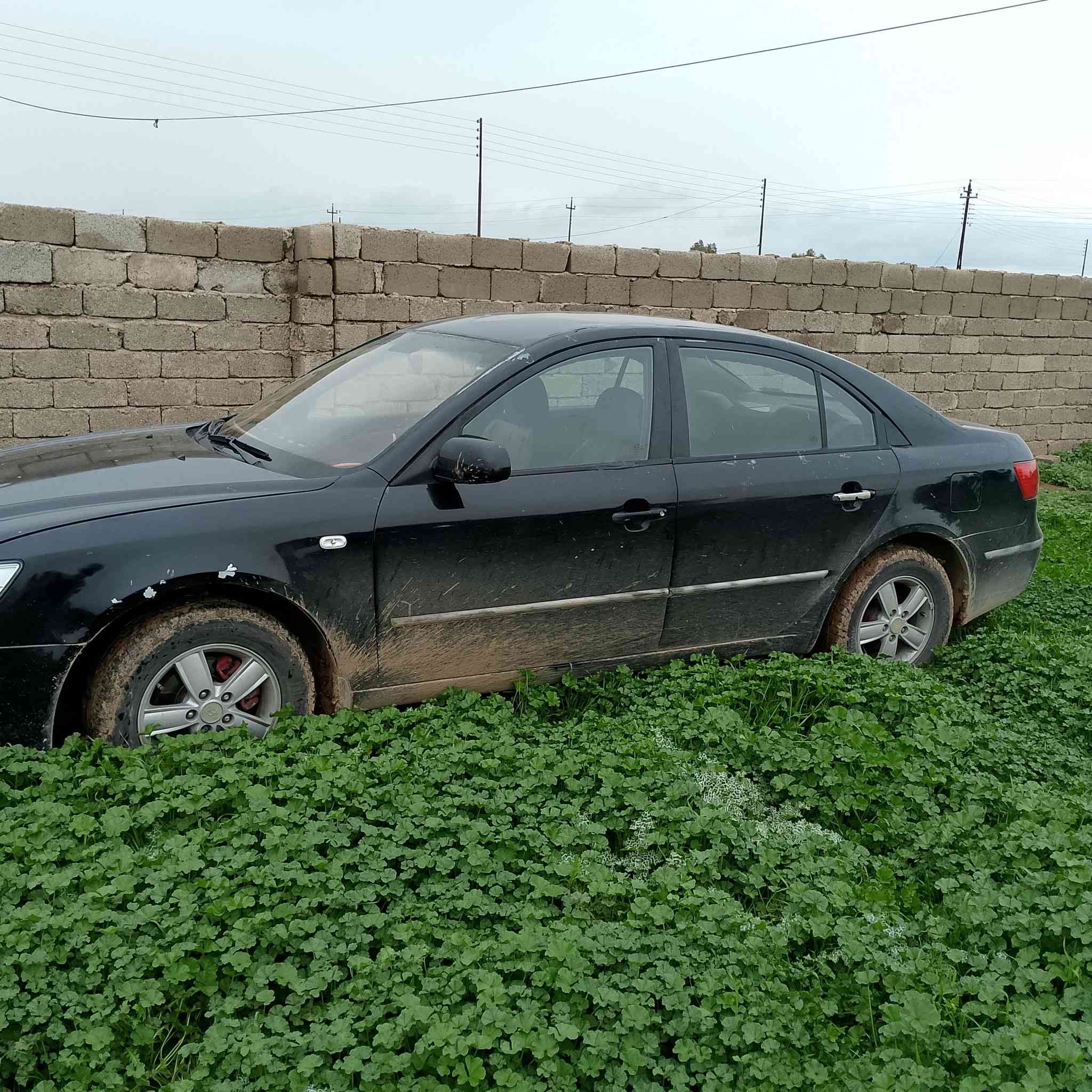 سوناتا 2009 محرك 4 صبغ عام المحرك كير طخم كلو شرط طخم جديد باتري جديد تواير جدد السعر 75 رقم جديد سنويه لل 2030 بعد الهزه مامنتهيه السياره كلها شرط لاكص شاصي شرط ***********
