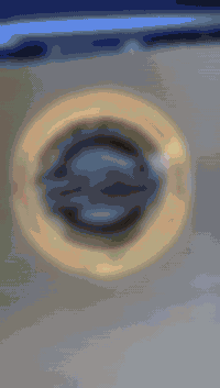 تفاصيل عرض السني الهندي الي يكون سعره ١٤٠ الف شامل التوصيل
ويكون سعره مع الميزانيه واجور عمل ١٩٠ الف
عنوان المحل
البياع الحي الصناعي الشارع الثاني داخل كراج اطلس
*********** مصطفى الكوثر
*********** مصطفى الكوثر
