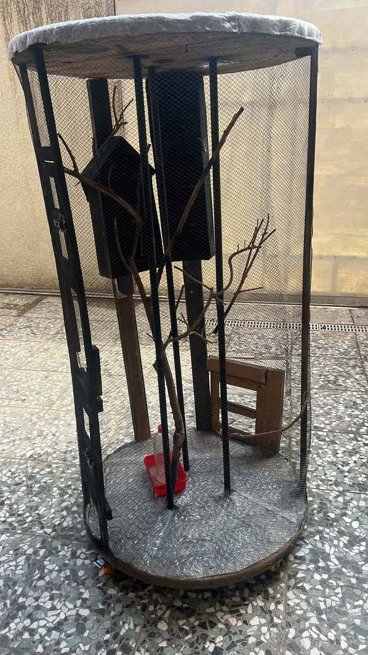 50


**إذا كنت صاحب هذا الإعلان وتريد حذفه لأي سبب، رجاءا أرسل رسالة إلى الدعم الفني**