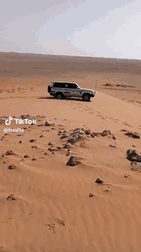 السلام عليكم لاندكروزر موديل 97 رقم نجف بسم صاحبي شرط مداور سياره كير ومحرك بلاد مكفولات كفاله عامه فورويل شغال تبريد شغال ثلاجه شغاله كهربائيات تحكم كشنات تواير جددد وياها 4بلاون دبل خزان +منظومه غاز  سياره مكفوله من الضرب ومن الكلبه ما عداء صبغ حزام للجماليه فقط السعر 69 وبيها مجال بيع مستعجل***********
