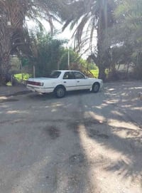 شيزر تكم • موديل ٩١ • ميسان المجر