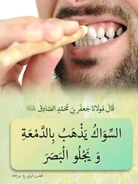 عود سواك • شجرة الاراك • توصيل