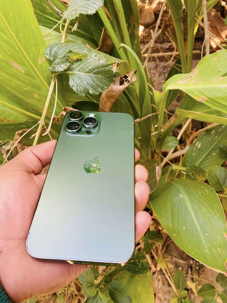 السلام عليكم 🫡
ايفون 📲 13برو ماكس لون (زيتوني 😍)

الذاكره :128

بطاريه :80

الجهاز نضافه فول فقط مستبدل شاشه وكاله اصليه شرط الاصلي 😍

السعر :460الف فقط بلاش😍❤️

يرهم بيع ويرهم مراوس باي جهاز عندك 💕🫶

يتوفر خدمه توصيل 🚚 لجميع محافظات العراق او داخل المنطقه 🫶❤️

أي استفسار:خاص او التصال ع الرقم :***********
