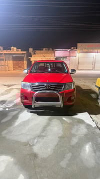 فلاونزا • ٢٠١٣ • مكفولة