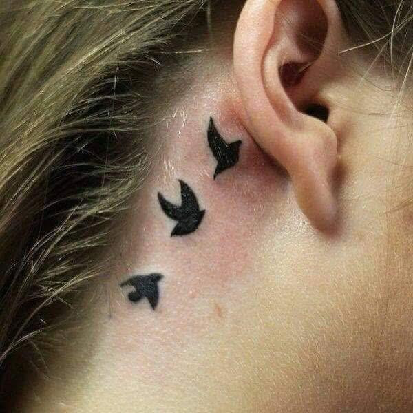 ابو اسرار الوشام ❤️

لجميع انواع الوشم والتاتو الحاجب 
 6D//3D
بلوك 
وشم رجالي ونسائي 
وشم دائمي 
متوفر جميع الاجهزه 
جهاز النمش والبقع السوداء والتكلسات 
____________
توريد شفه 
حاجب 6D
حاجب عادي 
حاجب 3D
حاجب بلوك 
وشم حك بنات
متوفر 

للاستفسار الاتصال على الرقم
متوفر واتساب ***********

متوفر جهاز ازاله الوشم 🐝
على يد كادر متخصص 🦋
