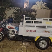 ستوته ام الطير • ٢٠٢٠ • مكفول