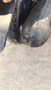 سلام عليكم دراجه عبد الحليم
فحل للبيع السعر400وبي مجال للاستفسار ***********
