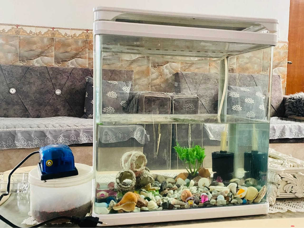 حوض سمك زينه جاهز مع جهاز الاوكسجين سعره 25 الف تواصل 
*********** الرمادي الرمادي, الأنبار
