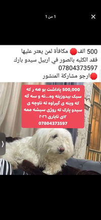 ضايعة • سيدو بارك • بيتا