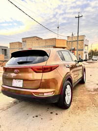 سبورتج • ٢٠١٧ • وارد امريكي