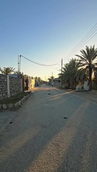 كربلاء • نص دونم • طابو زراعي