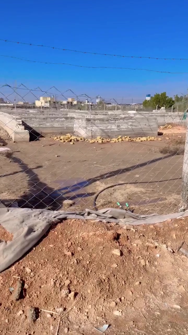ارض زراعيه  1200 م ركن
بواقع 4 عرصات موقع كلش راقي تحتوي على بتلو درجى اولى 310 م تصميم ڤيلا متوفر جميع الخدمات. 

العنوان الديوانيه/ مجمع اللؤلؤه مجاور مجمع الاميرات

*********** 
الواجه 35 م
النزال 34 م
م/تباع الارض كلها
