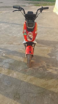 دراجة شحن • حجم ١٤ • جديدة