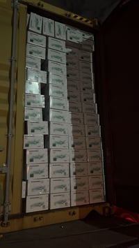 مروحة جو • سونك • اقل كمية ٦ كارتون