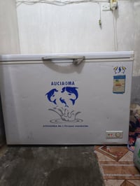مجمدة • للبيع