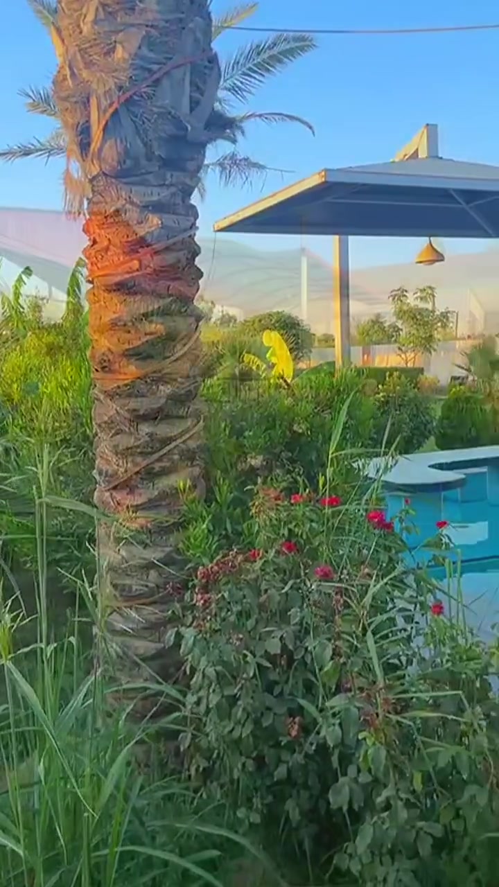 مزرعة اكليل الجبل الترفيهي العنوان / بلد موثقة بتطبيق اجرلي
للاستفسار والحجز هاتف  7769139414


**إذا كنت صاحب هذا الإعلان وتريد حذفه لأي سبب، رجاءا أرسل رسالة إلى الدعم الفني**