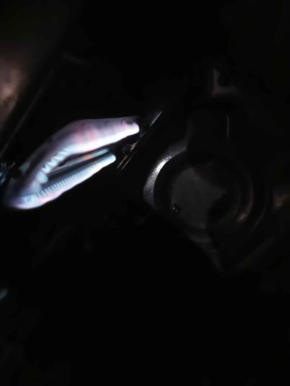 طباخ ٤ عيون كله شغال عيون وفرن فوك وجوه حيل نضيف ب٨٠ وبي مجال بردات ماروني ٢٥ تفصال ارتفاع ٣ وعرض ٦ وسله ماعين ب١٠ وبردات بس القطع الكبار ارتفاع اكثر من ٣ والعرض ه متر ب١٥ بدون القطعه البيضه مكان السكلات منطقه ال١٣ بغداد, العراق


**إذا كنت صاحب هذا الإعلان وتريد حذفه لأي سبب، رجاءا أرسل رسالة إلى الدعم الفني**