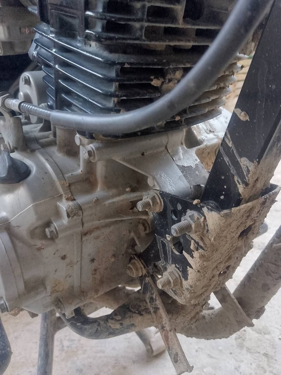 بوكسر 22 رقم بغداد للبيع ***********
