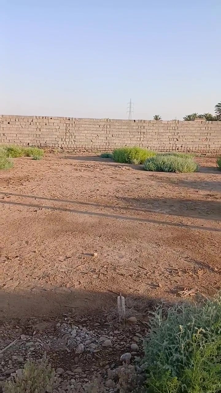 قطعة أرض طابو زراعي سند ٢٥ المساحه ٥٠٠متر بيع حسب الطلب الموقع خان بني سعد قرية البلحى قريب على الشارع العام  خدمات كامله ماء كهرباء للإستفسار الاتصال على الرقم ***********
