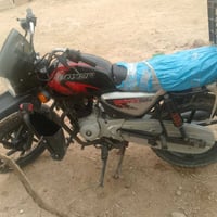 بوكسر • فحل • ٢٠٢٣