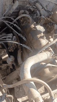 مكينه ٨٠ معا التفرعات بيها بدايه السعر ٤٠٠ مكاني بغداد النهروان ٠٧٨٢٥٠...