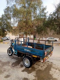 ستوته • مديل ١٤ • اوراق وكيله