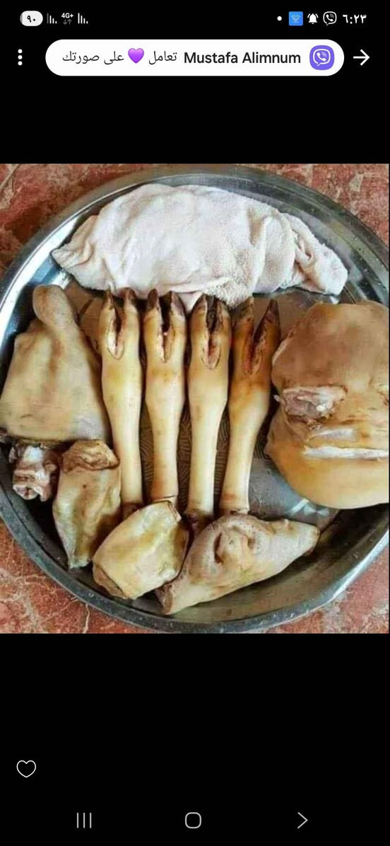 سه ر و بيي شا ز بؤ نا و مه نجه ل ***********
١٠ هه زا ر سه ر و بيي كؤ لك به ر ده سته السليمانية, العراق
