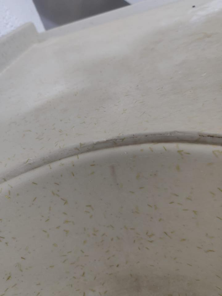 السلام عليكم كاونتر كلش جديد مستخدم شي بسيط والسنك مرمر للبيع والتخم ايضا الرصاصي 5 مقاعد والجوزي 5 مقاعد مستخدمات شي بسيط وحاليا متروكات وعليهم تراب والجوزي بي ضرر بسيط ***********
