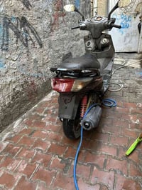 سكنس فحل للبيع  سعر ٤٥٠  ٠٧٧٥٣٩٢٥٢٦٩