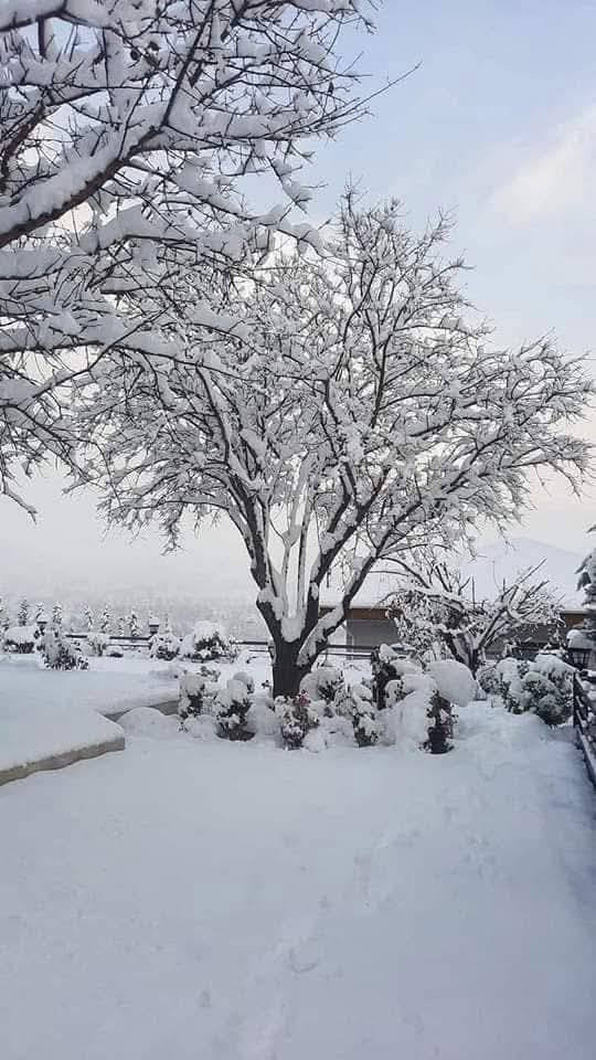 مساء الخير على اجمل متابعين وبيج شركة نور المصطفى للسياحه والسفر 😎👋

رجعنه وياكم من جديد 😍

برنامج يوم الجمعه حيكون دهوك جبل كارة الثلجي يوم واحد سعر مقعد (10) الاف

برنامج الرحله يشمل 👇😍

1. جبل كاره الثلجي 
2. سد دهوك 
3. استراحة مطعم 
4. مول دهوك 
5. مول اسطنبول 
6. حديقه الحيوانات 
7. فاملي مول 

وبعدها رجوع اليه الموصل الحبيبه 

ملاحضه الحجز مفتوح والمقاعد محدوده جدا 🤏

للحجز والاستفسار 
***********📞
***********📞

دع القياده لنا وستمتع بل رحله 🥰😎
