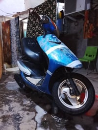عصفورية • فحل • ٦٠