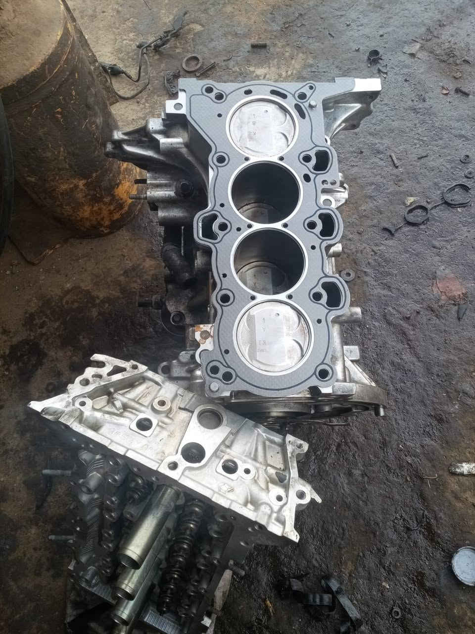 فيترية سيد مرتضى
لتجفيت كافة أنواع السيارات 
بانزيخانة الشموس مجاور العيساوي ابو سيراميك
***********
تم تبديل كازكت مع كص الكور والسلندر وتبديل تخم براص بيرن بكن وتخم وأشر وغسل سياره النترا 2017امريكي
