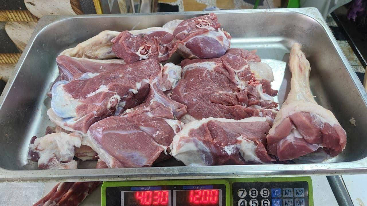 اسعار لحم الغنم في قصابة 🥩
قصابة ام المساجد 🥩

شارع ابو السنوره قرب كوفي سراج 🥩

خروف خالص هرفي ب19 الف 🥩

عجل فخذ خالص ب 16 شرح 🥩

لحم مثروم خالص ب 10 الف 🥩

جلاوي غنم ب 10 الف 🥩

ليه هرفي ب 16 الف 🥩

للاستفسار مراسلة الارقام
***********
***********
***********
العنوان الفلوجه الشهداء شارع ابو لنسوره قرب كوفي سراج 🫖
