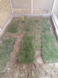 الناصريه حي الجامعه • ٢م×٣م • ديكور حديقة