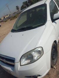 افيو • ٢٠١١ • رقم كربلاء