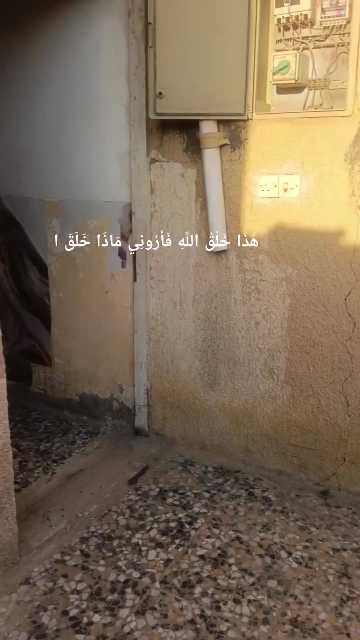 بيت للايجار العبيدي بنهاية لثالثه  قرب مدرسه عمر قرب 
*********** للاستفسار
