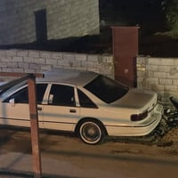 دولفين • ١٩٩٣ • صبغ عام