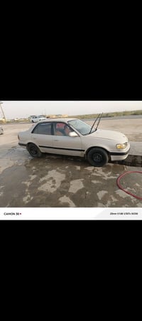 كورله • ١٩٩٥ • صبغ عام