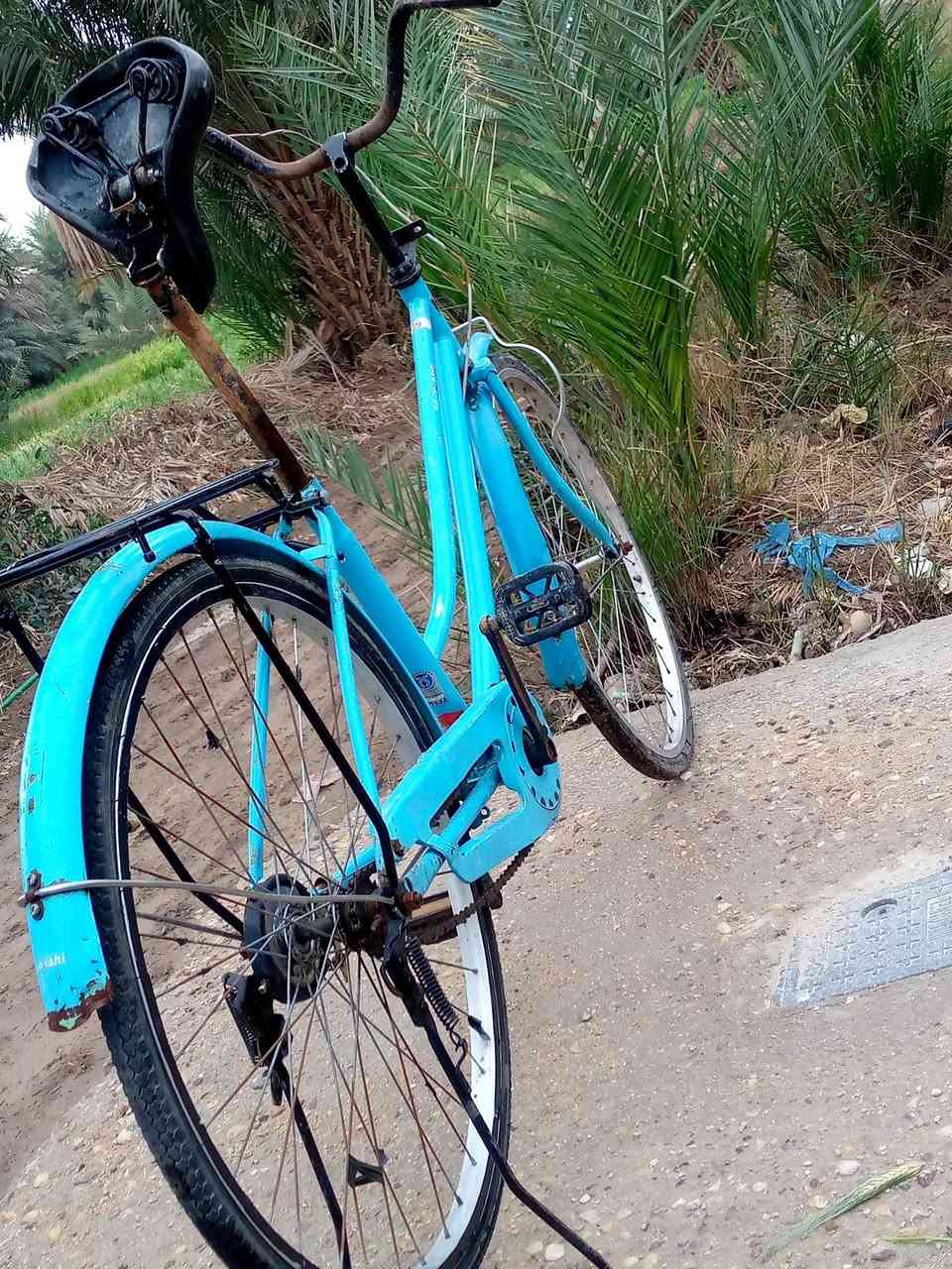 سلام عليكم باسكل للبيع حجم 26 مامصبوخ شغالكلشي ماعوزه  مكاني دوانيه قضاء السدير السعر (٦٠)وبيه مجال


**إذا كنت صاحب هذا الإعلان وتريد حذفه لأي سبب، رجاءا أرسل رسالة إلى الدعم الفني**