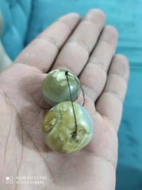 اخوان عندي هذني اريد ابيعهن  قيم السعر وراسلني واتساب او فيس 078194705...