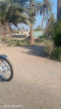 موديل 24 • اوراق • حله