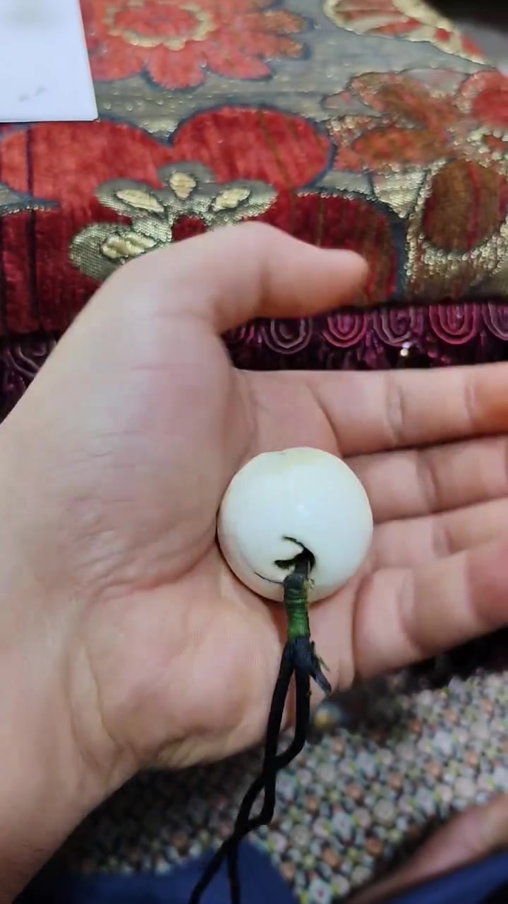عطف بحري قديم وطاقة عاليه حجم ووزن مثل ما واضح قييم انطي سعر واذا مراوس هم اراوس
مكاني كربلاء ومتوفر توصيل


**إذا كنت صاحب هذا الإعلان وتريد حذفه لأي سبب، رجاءا أرسل رسالة إلى الدعم الفني**