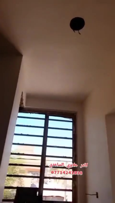 متفرق حالين اتصل وتدلل بغداد
***********
